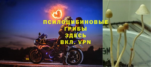 2c-b Балахна
