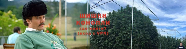 дживик Баксан